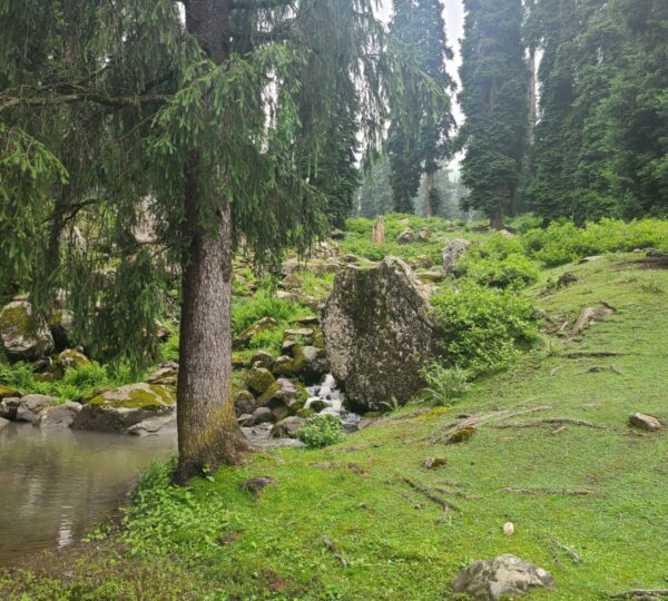 Gulmarg
